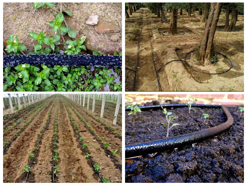 Como a mangueira de borracha é usada para irrigação?